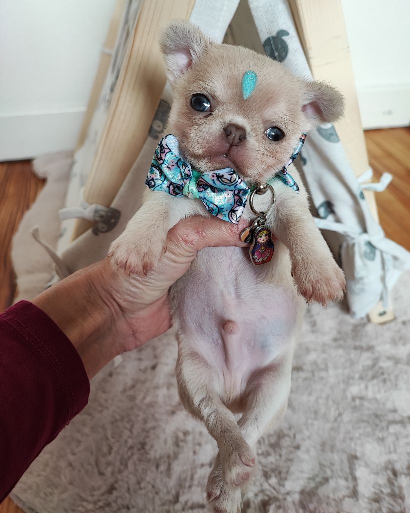 Nos bébés