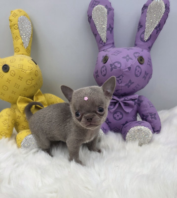Babouchka